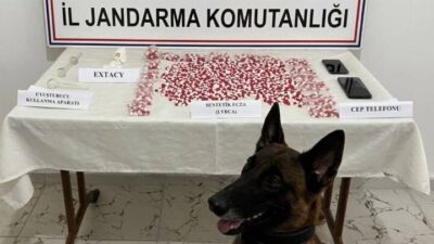 Siirt İl Jandarma Komutanlığı Narkotik