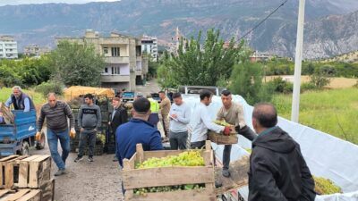 Siirt’in Şirvan ilçesine bağlı Pirinçli