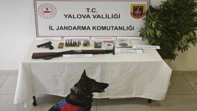 Yalova İl Jandarma Komutanlığı ekiplerinin