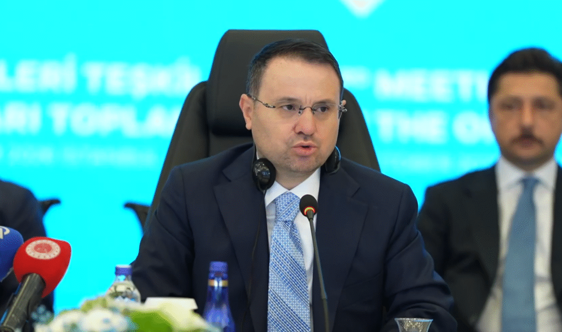 Türk Devletleri Teşkilatı (TDT)
