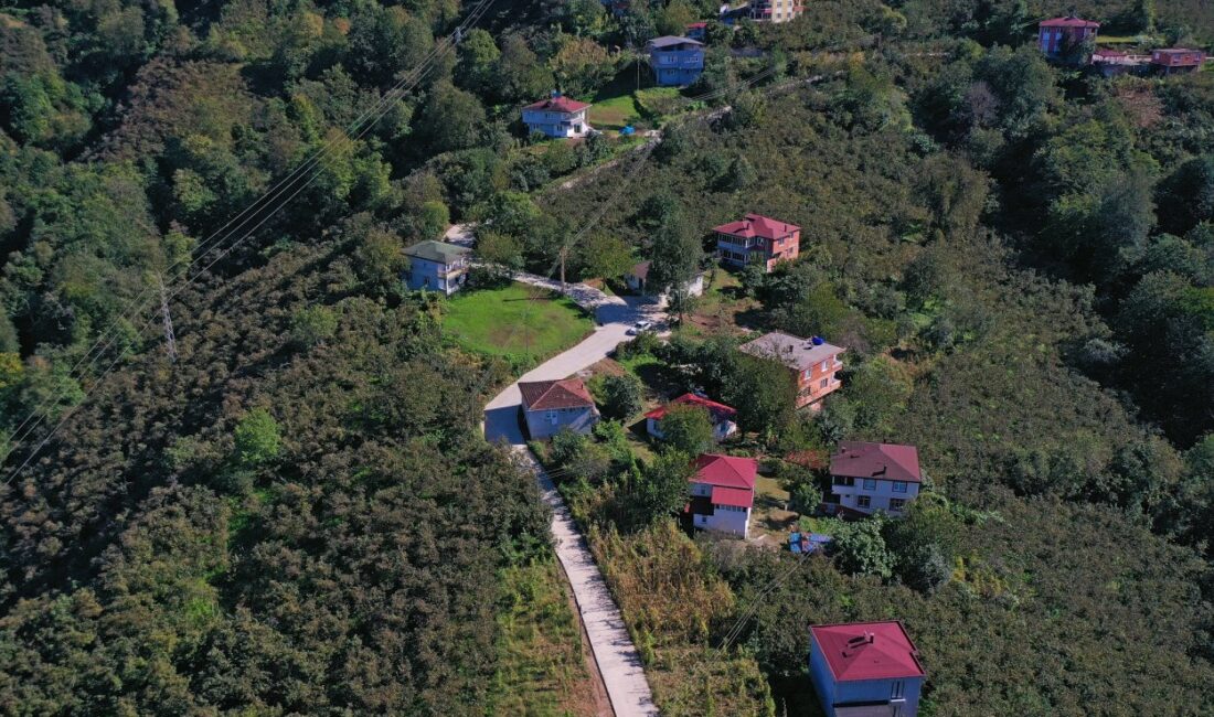 Ordu Çamaş’ta Ulaşım Konforunu Artıracak Beton Yol Hamlesi Ordu Büyükşehir Belediyesi, Çamaş