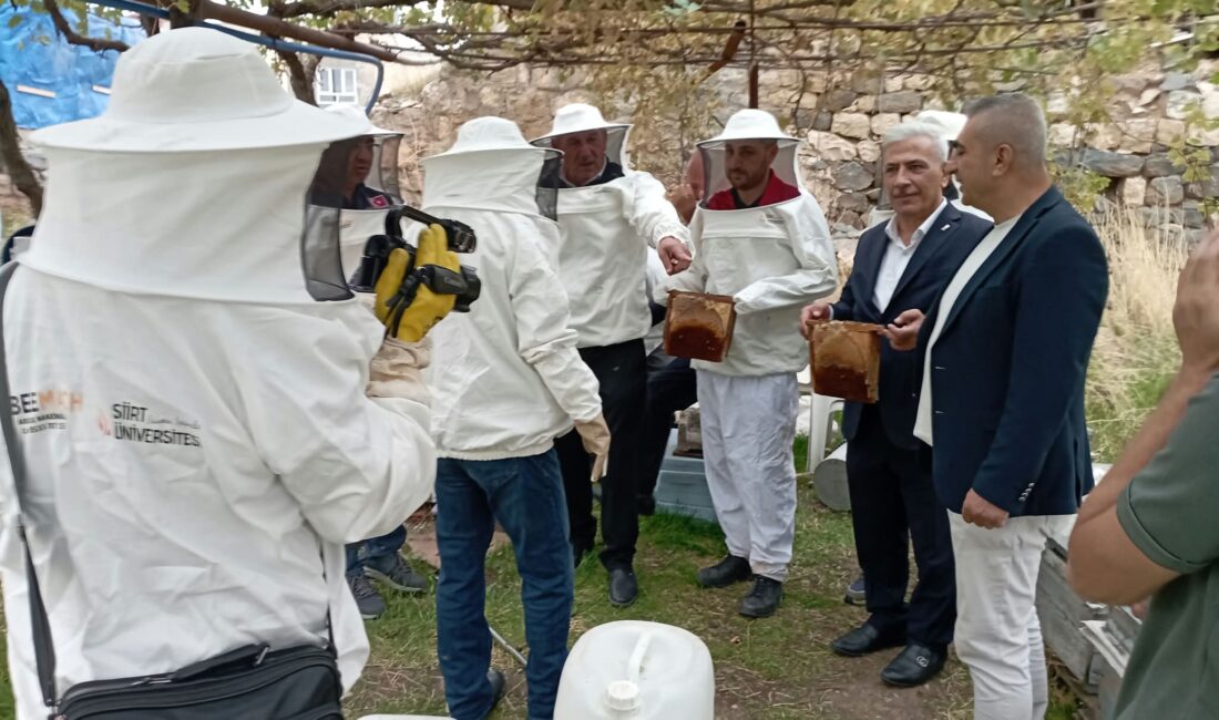 SİİRT / TEKHA Siirt’in