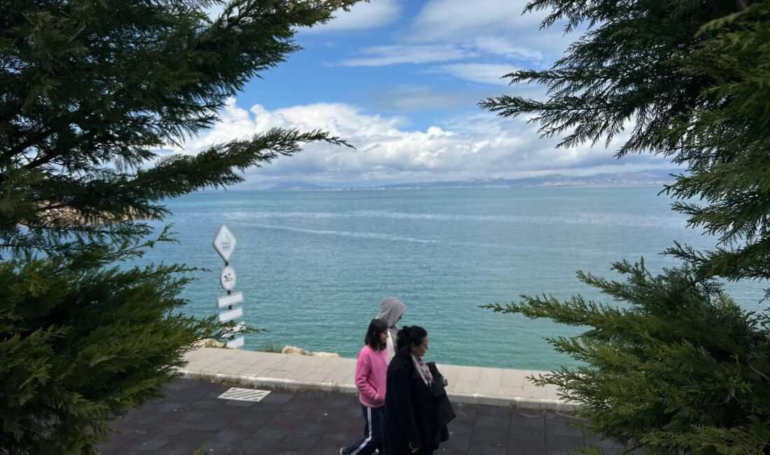 Van Yüzüncü Yıl Üniversitesi